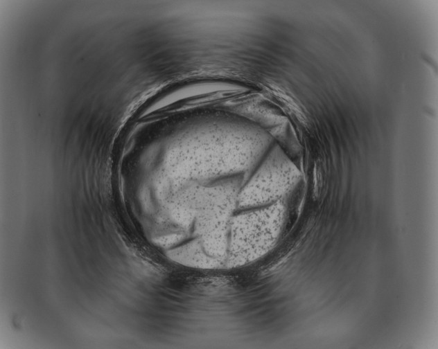 X0000091220492200708301455