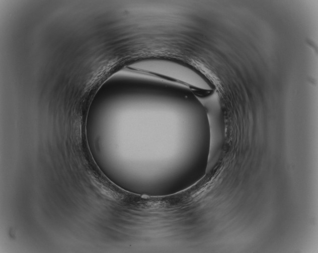 X0000091220493200708301455