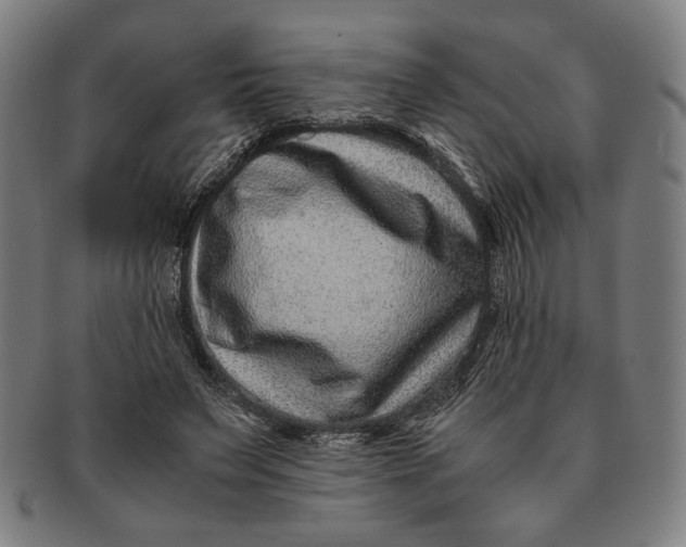 X0000091220495200708301455