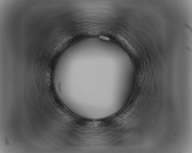 X0000091220497200708301455