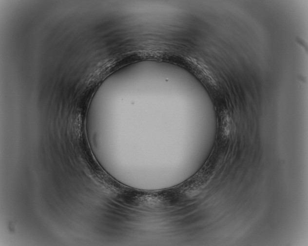 X0000091220498200708301455