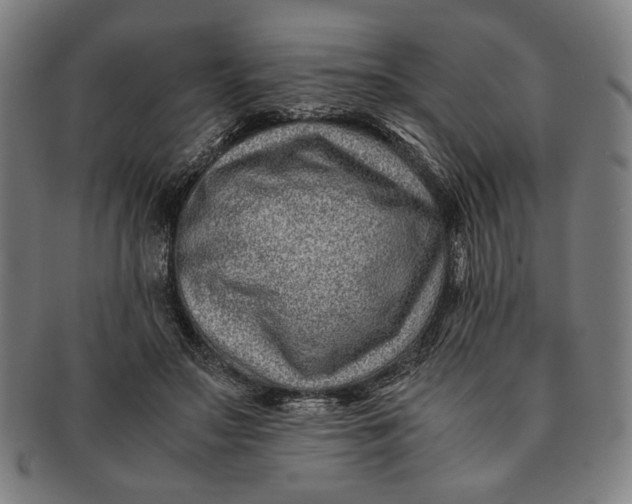 X0000091220499200708301455