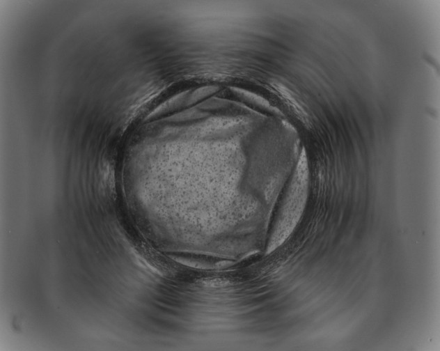 X0000091220500200708301455