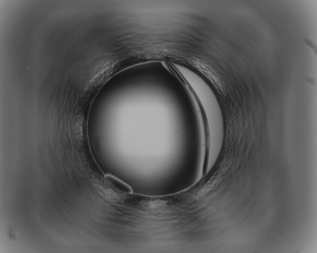 X0000091220501200708301455