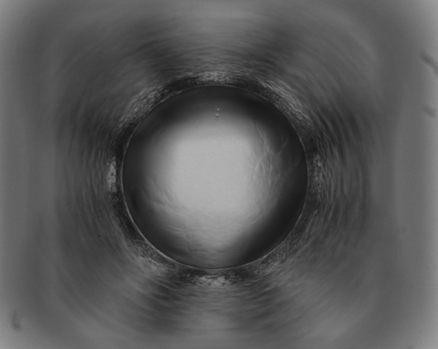 X0000091220502200708301455