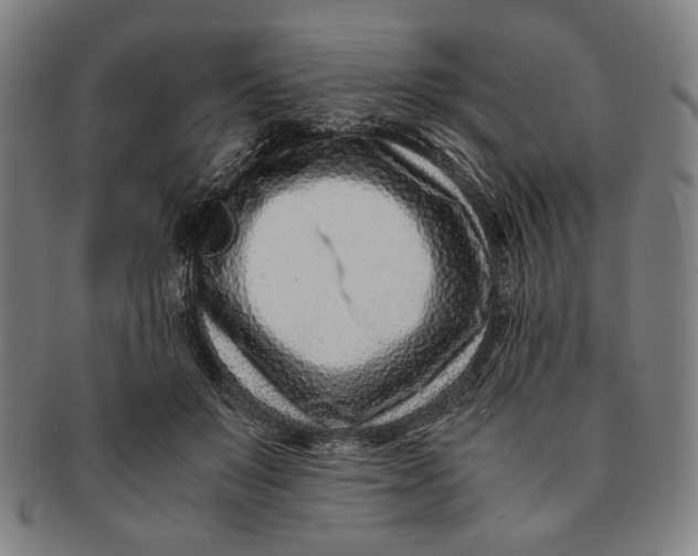 X0000091220503200708301455