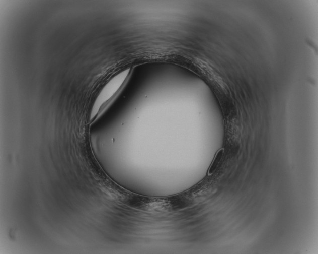 X0000091220505200708301454