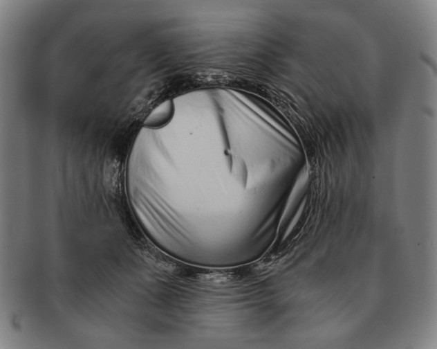 X0000091220511200708301454