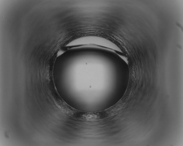 X0000091220512200708301454