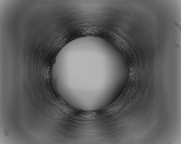 X0000091220514200708301454