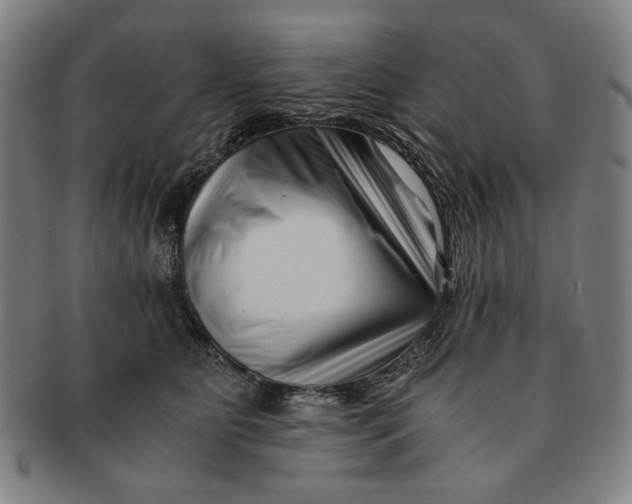 X0000091220515200708301454