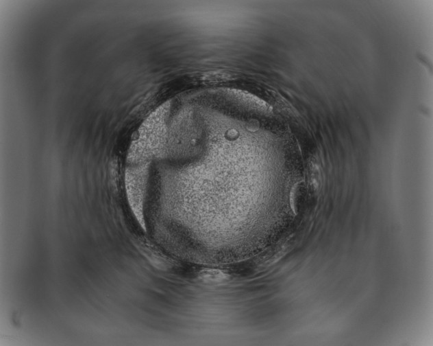 X0000091220519200708301454