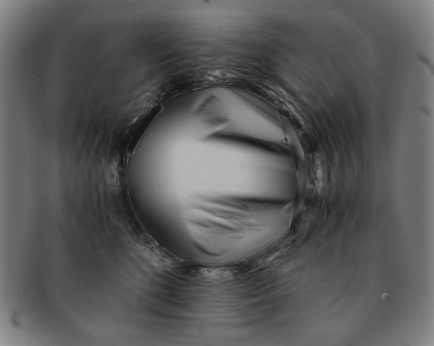 X0000091220520200708301454