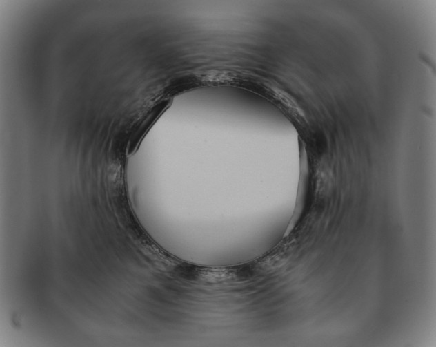 X0000091220521200708301454