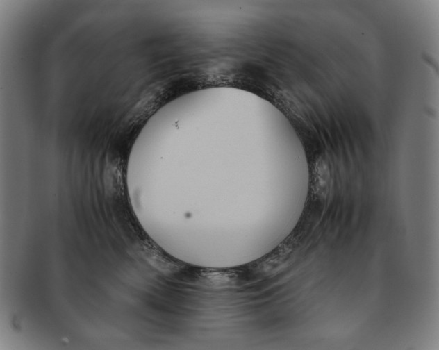 X0000091220522200708301454