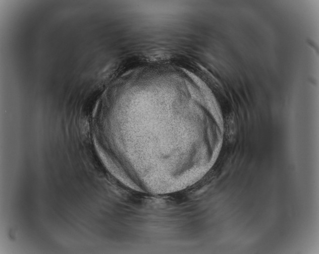 X0000091220523200708301454