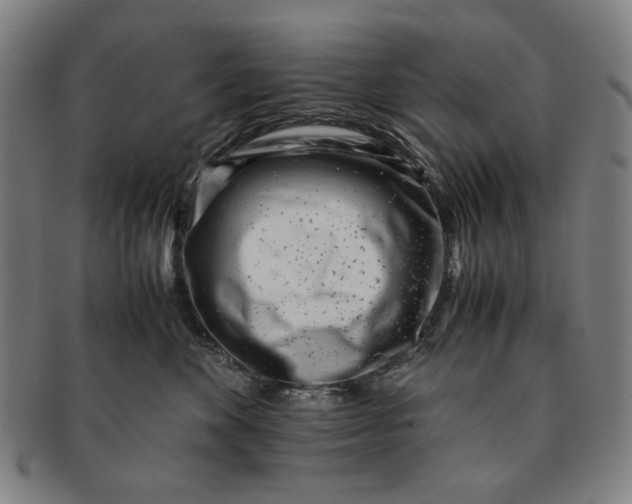 X0000091220524200708301454