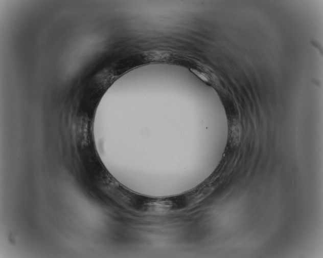 X0000091220525200708301454