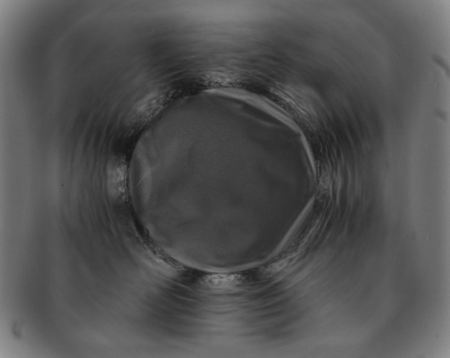 X0000091220526200708301454