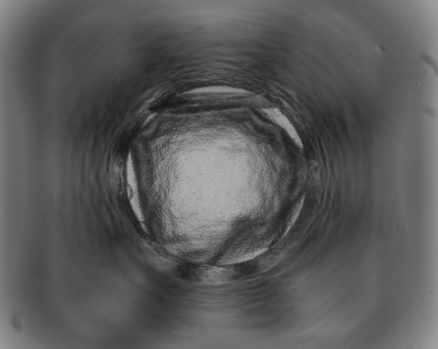 X0000091220527200708301454