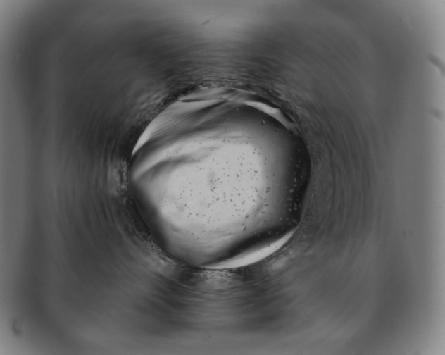 X0000091220528200708301454