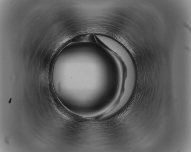 X0000091220530200708301454