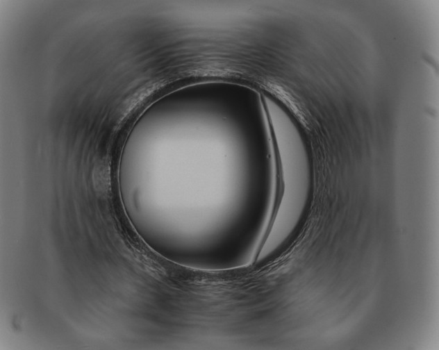 X0000091220531200708301454