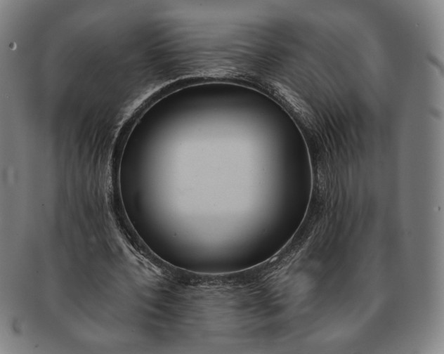 X0000091220532200708301454