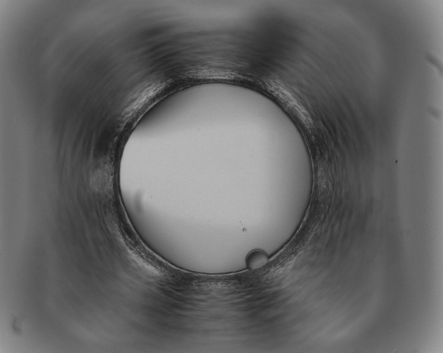 X0000091220533200708301454