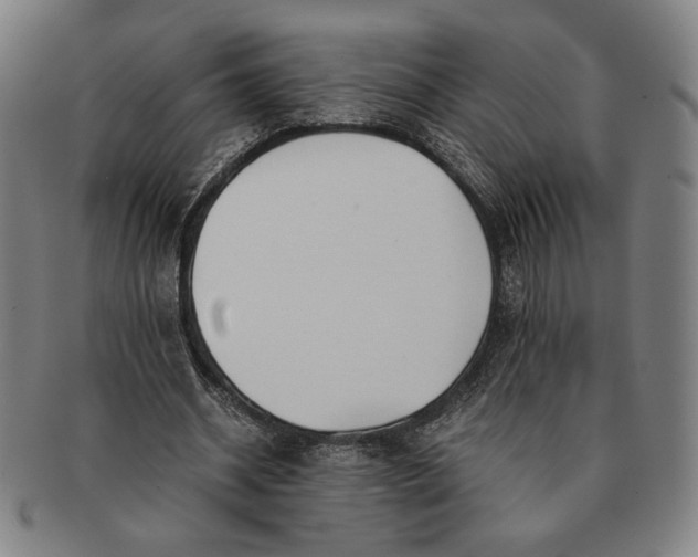 X0000091220534200708301454