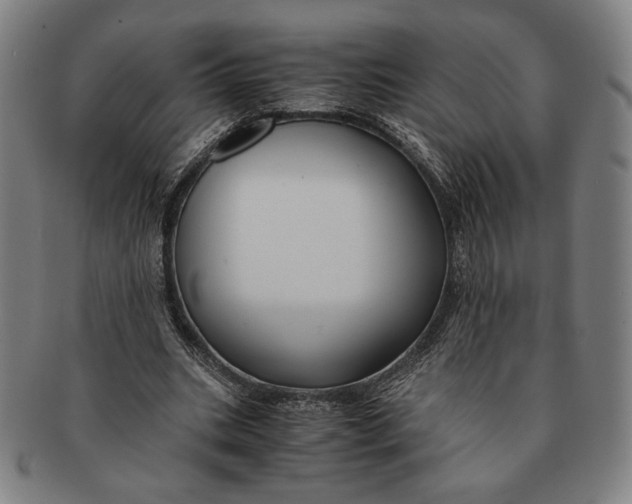 X0000091220535200708301454