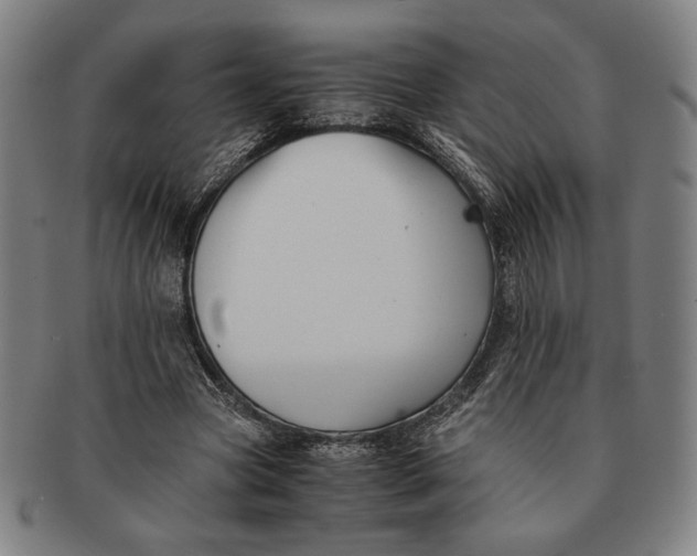 X0000091220537200708301454