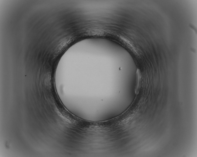 X0000091220538200708301454