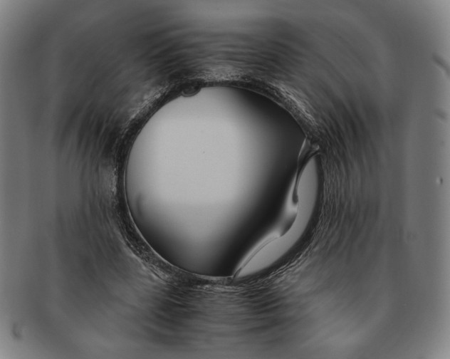 X0000091220539200708301454