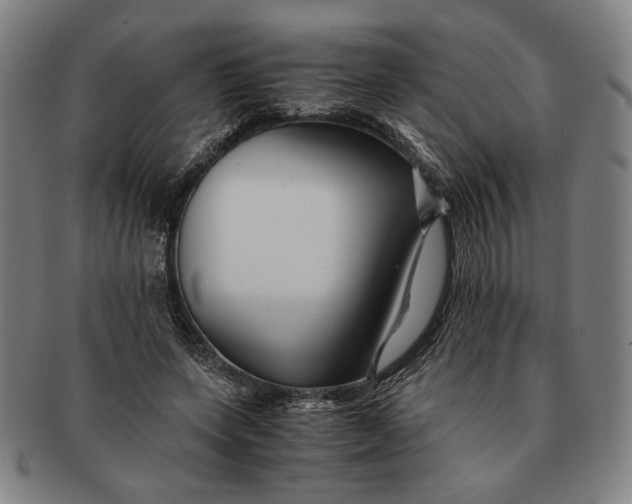 X0000091220543200708301454