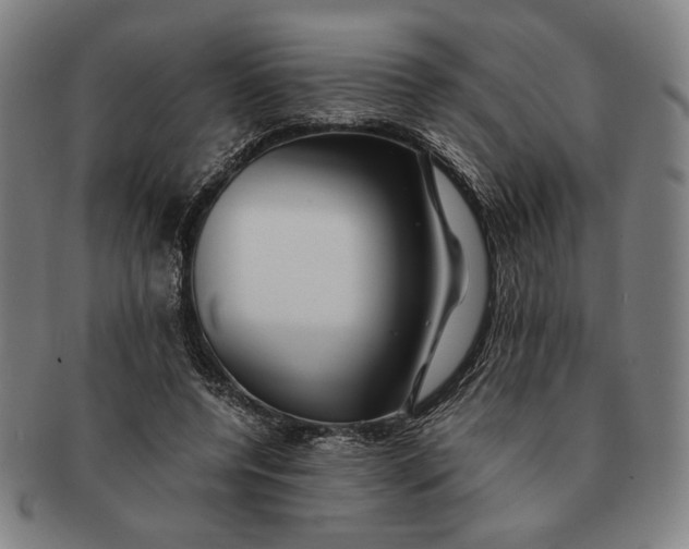 X0000091220544200708301454