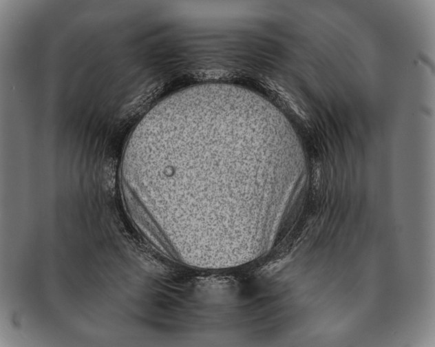 X0000091220545200708301454