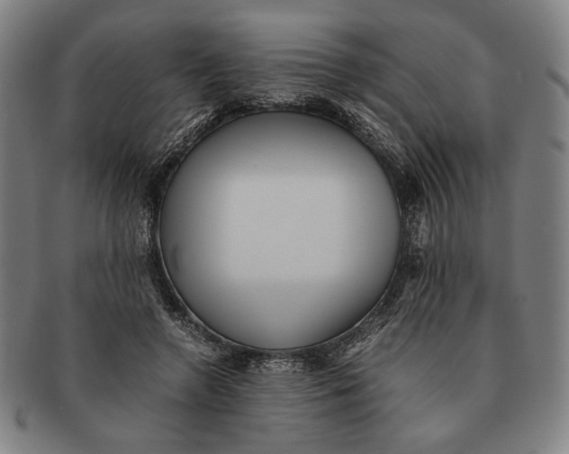 X0000091220546200708301454