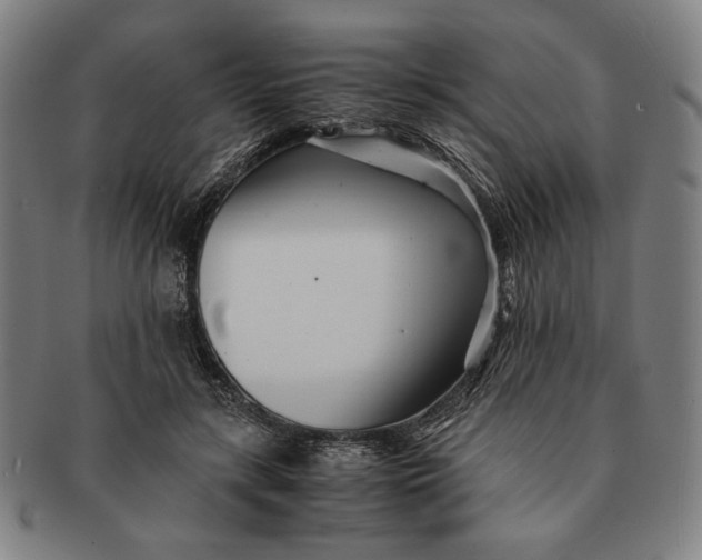 X0000091220547200708301454