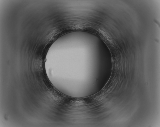 X0000091220548200708301454