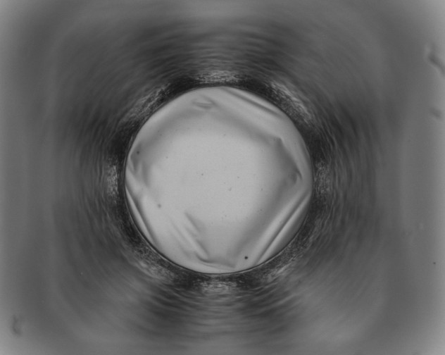 X0000091220549200708301454