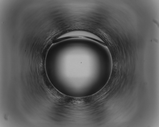 X0000091220552200708301454