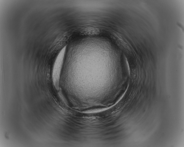 X0000091220553200708301454