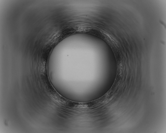 X0000091220554200708301454