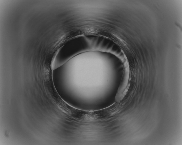 X0000091220556200708301454