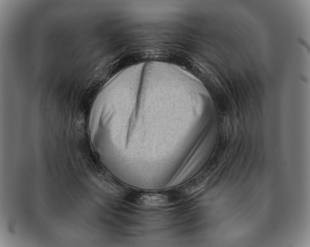 X0000091220557200708301454