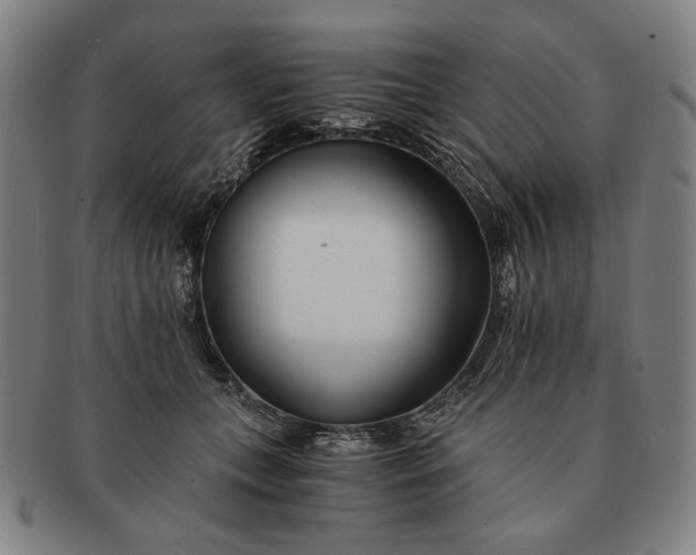 X0000091220559200708301454