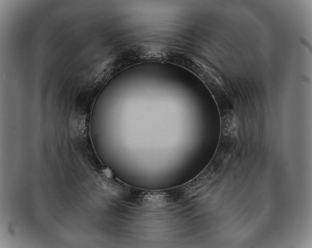 X0000091220560200708301454