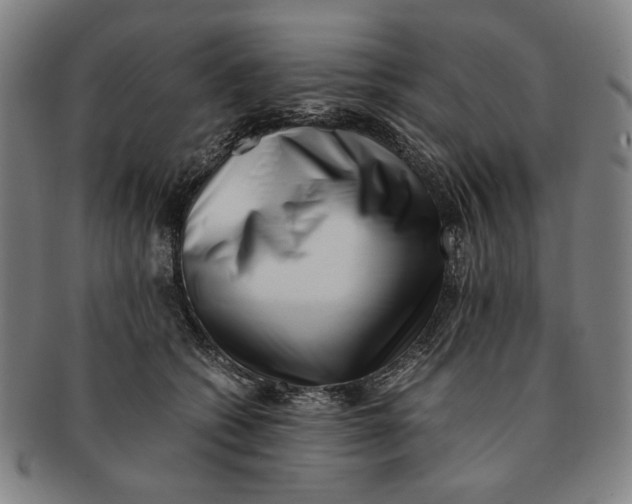 X0000091220562200708301454