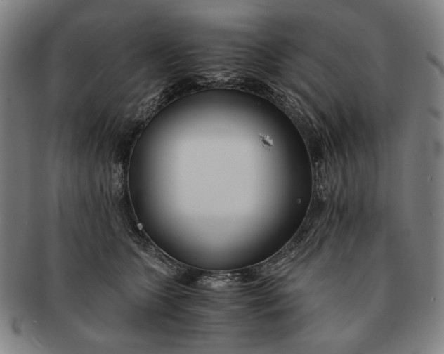 X0000091220563200708301454